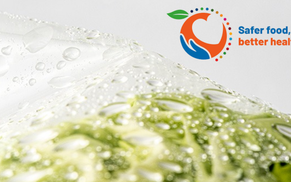 World Food Safety Day: Why Food Pack Drying Supports Safer Packaging Lines
