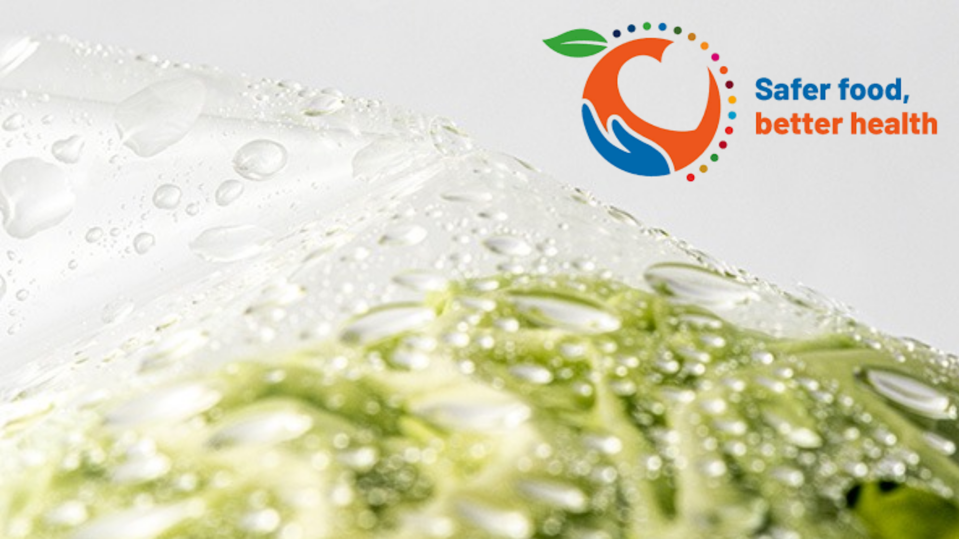 World Food Safety Day: Why Food Pack Drying Supports Safer Packaging Lines